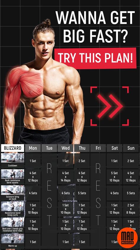 Muscle Building Workout Plan For Men Get Yours In 2021 Workout Plan For Men Muscle Building