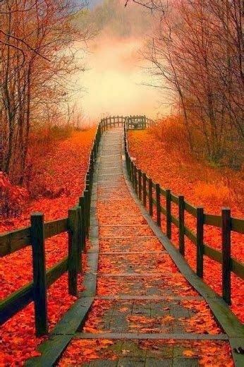 ~beautiful Autumn Path~ Nature Pinterest Paths
