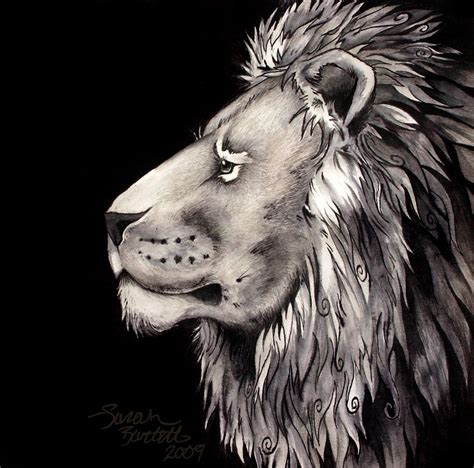 India Ink Lion Drawing By Naturepunk On Deviantart
