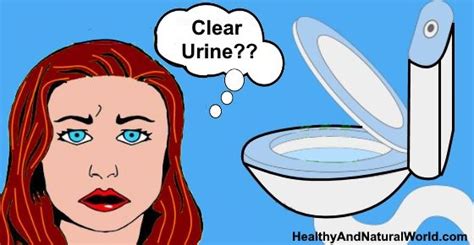 Clear Urine What Does It Mean And Is It A Reason For Concern