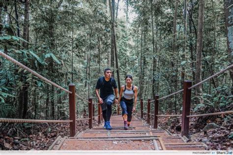 The first, bukit batok hillside nature park. 10 Undiscovered Hiking Trails In Singapore Every ...