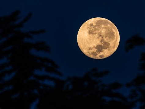 Look For A Supermoon Tonight