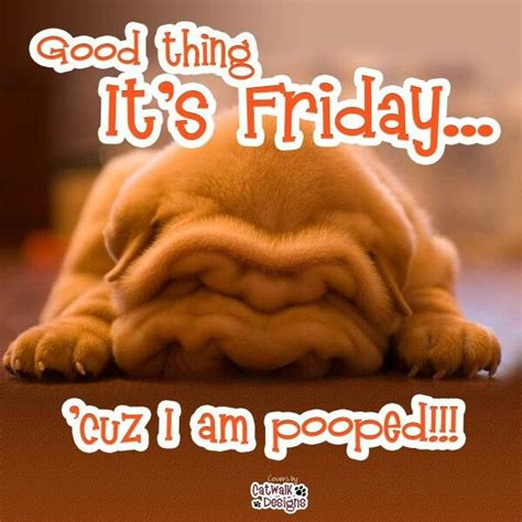 Pin By Bekka Munoz On Friday Its Friday Quotes Friday Humor Friday