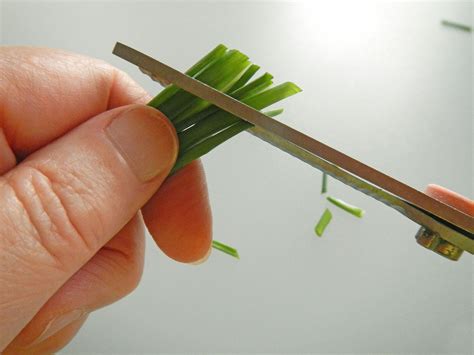 Snip Herbs Directly Onto Foods With A Kitchen Scissors Herbs