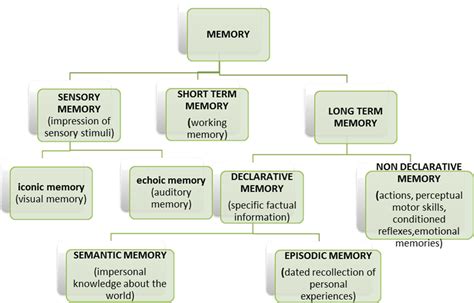 Optionals Ias Mains Psychology Memory Questions 1 To 6 Doorsteptutor
