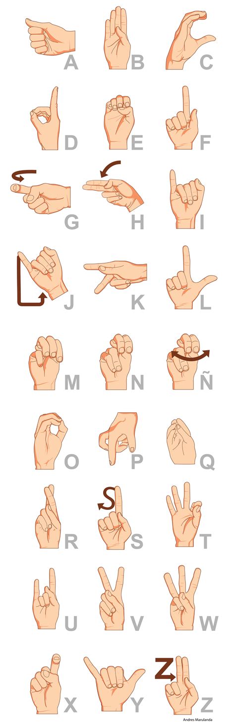 Total 47 imagen el abecedario en lengua de señas colombiana Viaterra mx