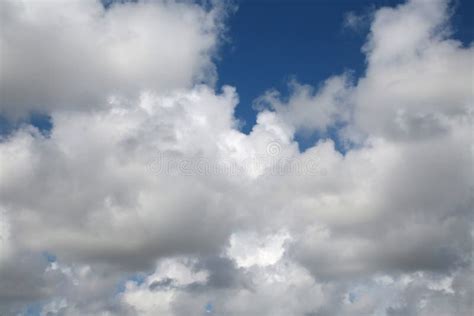 Thick Fluffy Cumulus Clouds In Sky Stock Photo Image Of Billowy