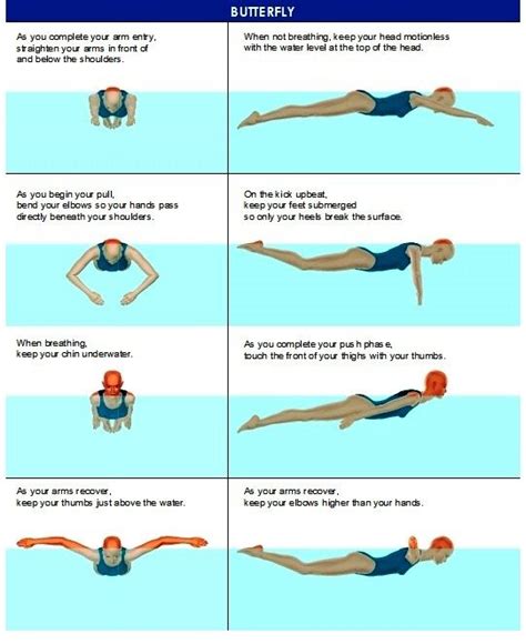 Freestyle And Breaststroke Swimming Workout Swimming Strokes