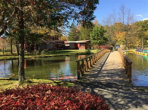 Hd Wallpaper Karuizawa Taliesin Pond Bridge Landscape Tree Water