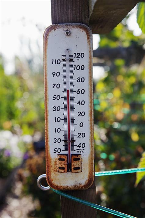 A Small Outdoors Temperature Photograph By Nathan Griffith Fine Art