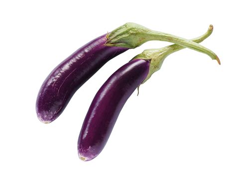 Seeds For Long Purple Brinjal Best Indian And International Seeds