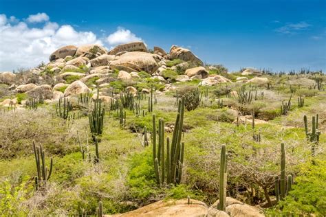 Senderismo Por El Parque Nacional De Arikok Desde Oranjestad