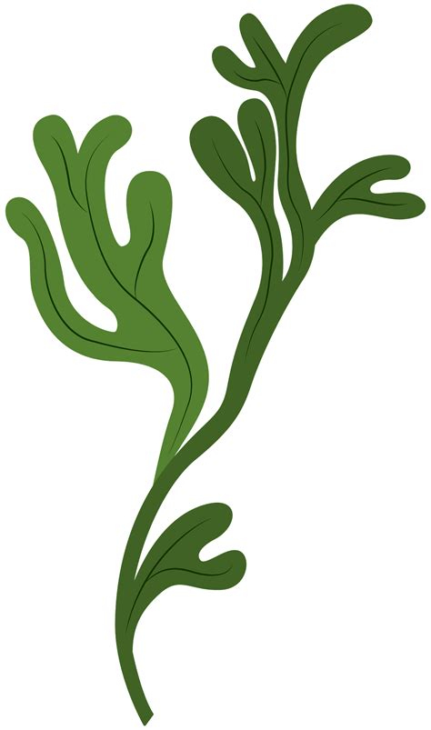 Clipart Of Seaweed