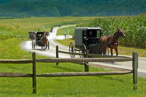 lancaster pennsylvania amish country pennsylvania dutch country amish country country roads