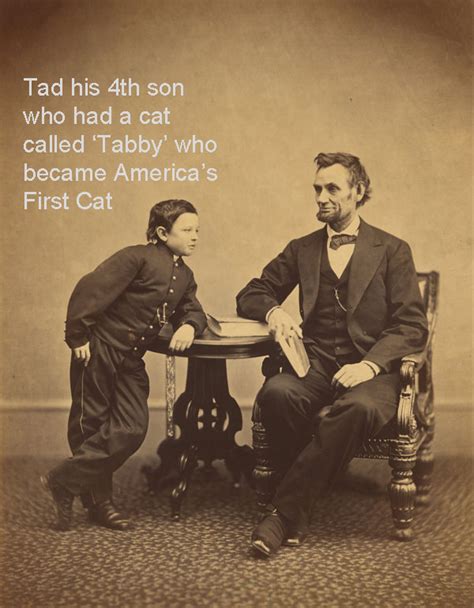 Did Abraham Lincoln Have Any Pets Advocating Animal Welfare