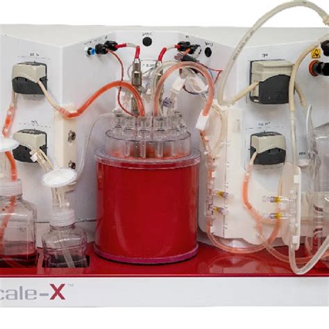 Vero cells) leading to two specific and different licensed production processes. (PDF) Development of a high-yield live-virus vaccine ...