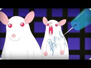 Scientifically Accurate Pinky And The Brain