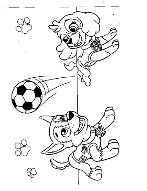 Skye Paw Patrol Coloring Page Cartoons Coloring Home Porn Sex Picture