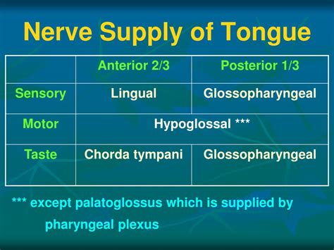 Nerve Supply Of Tongue Tongue Anatomy And Carinoma All Intrinsic And