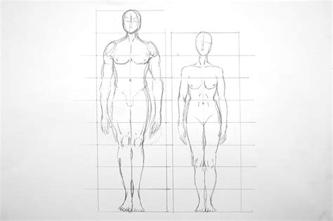 How To Draw Human Proportions Scale The Figure Correctly 2022