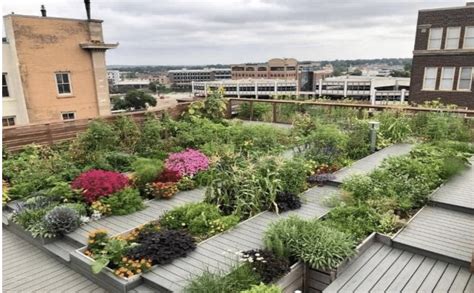 Sky High Harvest Rooftop Gardens Get Growing Gardeningimperfections