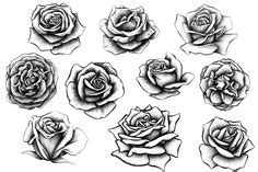 Lass dich inspirieren von den kostenlosen tattoovorlagen die du hier findest und bastle dir aus den motiven dein eigenes, individuelles tattoo zusammen. Die 67 besten Bilder auf Blumen/Rosen Tattoo in 2019 ...