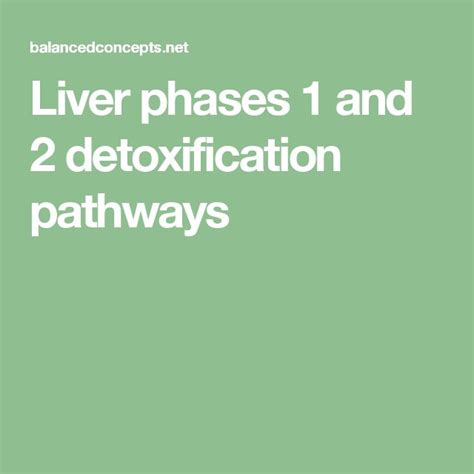Liver Phases 1 And 2 Detoxification Pathways Detoxification Liver