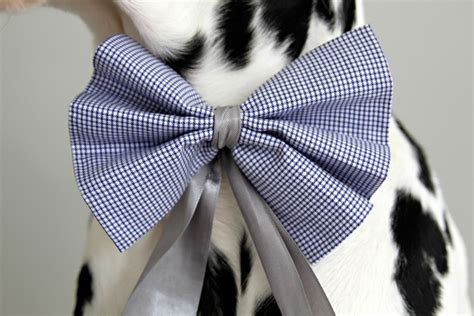 Dalmatian Diy No Sew Diy Dog Bows And Bow Ties