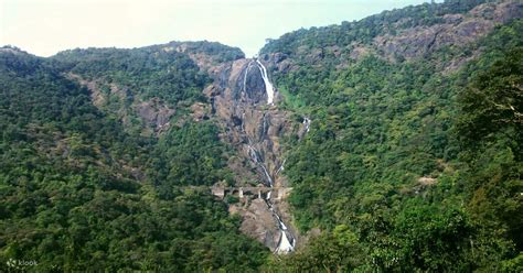 Dudhsagar Waterfalls Trekking Experience In Goa India Klook India