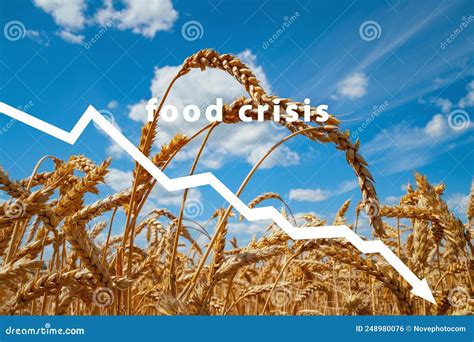 Food Crisis Cereal Crop Failure Bread Shortage Russian Military