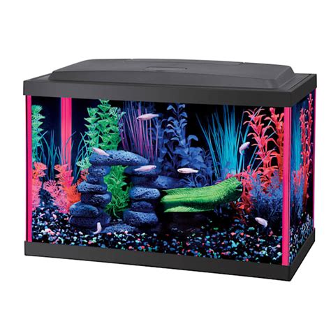 Aqueon Led 55 Gallon Pink Aquarium Kit Petco