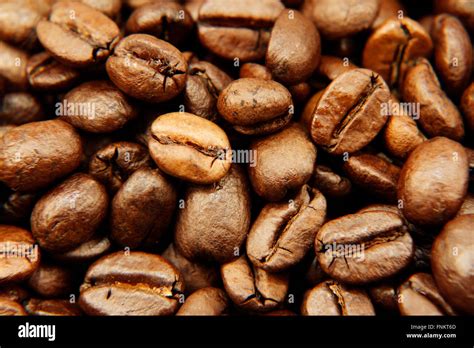 Closeup Of Roasted Coffee Beans Stock Photo Alamy