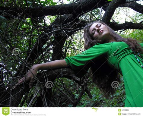 Young Attractive Woman In The Wild Forest Stock Photo Image Of Green