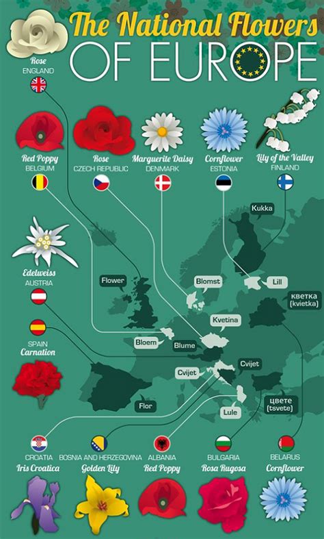 We did not find results for: Valanglia: THE NATIONAL FLOWERS OF EUROPE