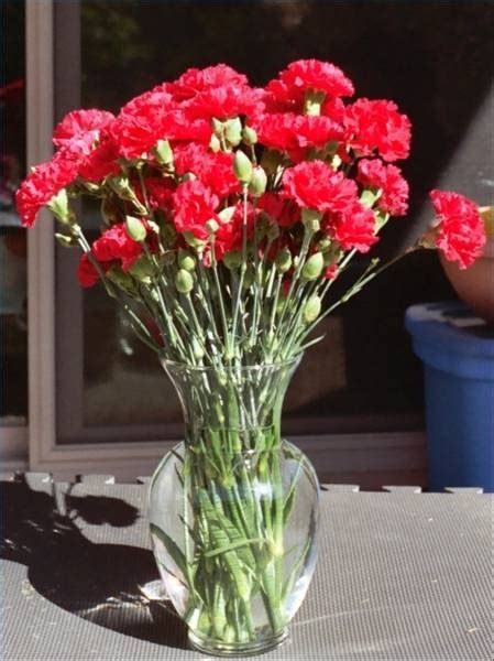Red, blue and yellow, below are their locations. Does Sugar Prolong the Life of Cut Flowers? | eHow