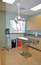 Arlington Vet Clinic Images