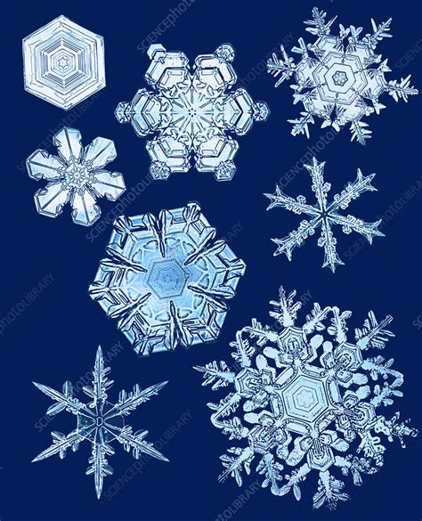 Snowflakes Stock Image C0174272 Science Photo Library