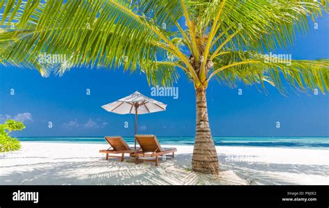 Tranquil Beach Scene Exotic Tropical Beach Landscape For Background Or