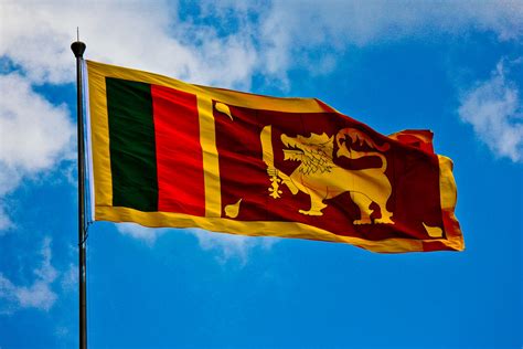 National Flag Of Sri Lanka Sri Lanka Flag Meaningpicture And History
