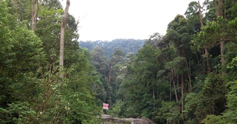 Air terjun isi adalah salah satu air terjun paling besar di asia. Air terjun Asahan Melaka 2019. Tempat mandi manda ...