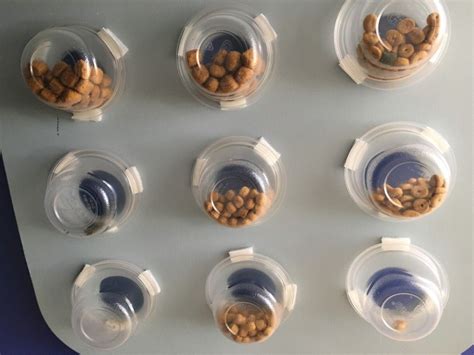It is also a great way to embrace diy (do it yourself) activities. IKEA hack-DIY Food Puzzle for Cats! | Diy cat toys, Cat ...