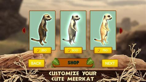 Meerkat Simulator Wild African Life Game For Android Apk Download