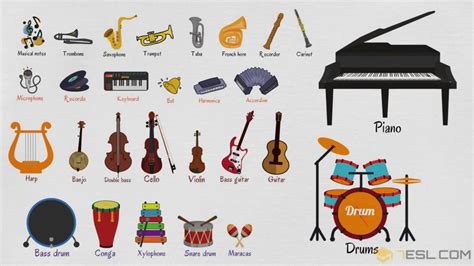 Musical Instruments Names List Of 100 Instruments Of Music • 7esl
