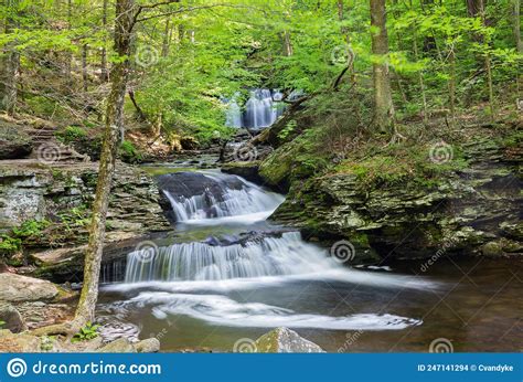 Waterfall In Ricketts Glen State Park Pennsylvania Stock Photo Image