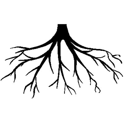 Roots Transparent Png Stickpng