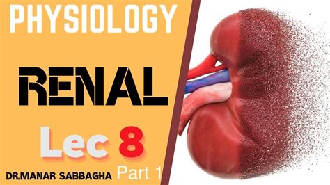 Physiology Renal System Diuretics And Micturition 1 Youtube