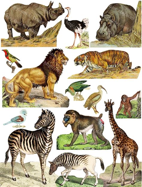 Printable Safari Animals