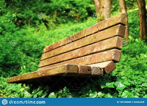 Wooden Bench In Forest Stock Photo Image Of Planked 189160686