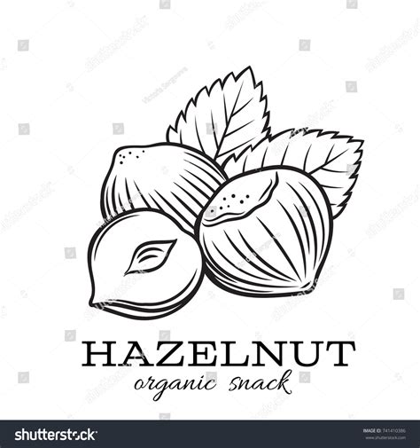 5269 Hazelnut Logo Images Stock Photos And Vectors Shutterstock