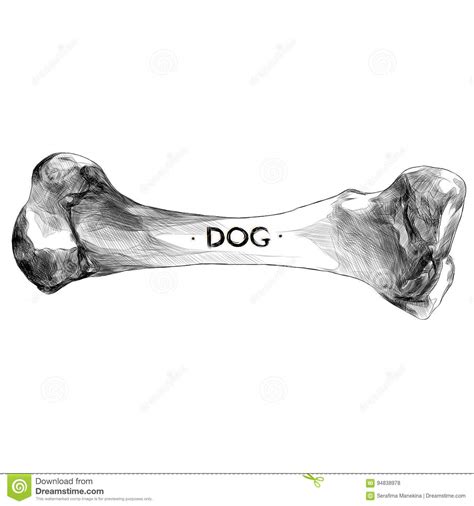 Dog Bone Sketch Vector Stock Vector Illustration Of Animal 94838978